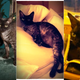 Image for article titled In Which Dita Von Teese's Cat Gets Out of the Bag